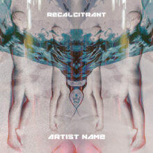 recalcitrant Cover art for sale