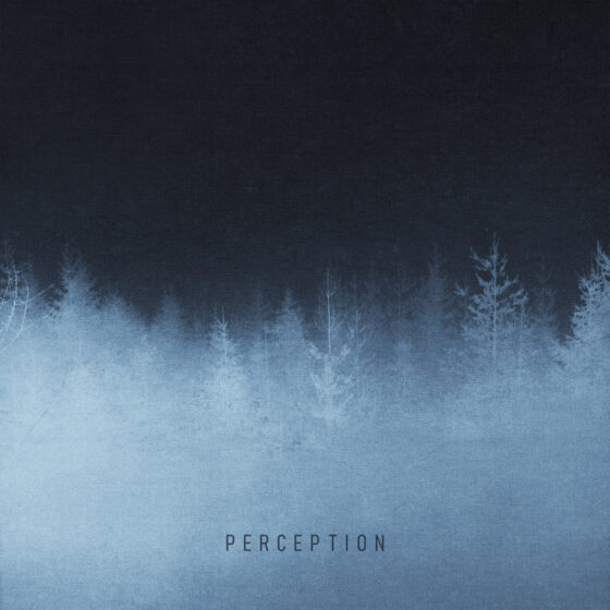 Perception Cover art for sale