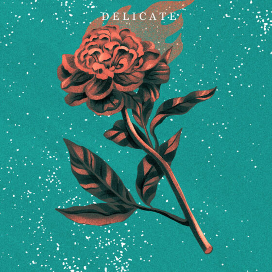 Delicate Cover art for sale