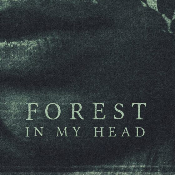 Forest in my head Cover art for sale