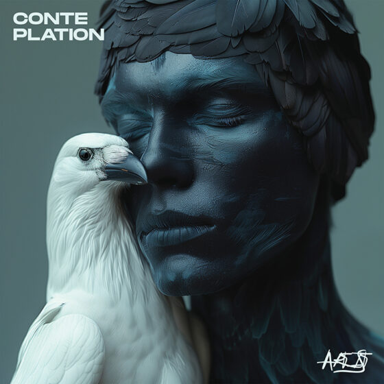 Contemplation Cover art for sale