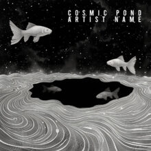 Cosmic Pond