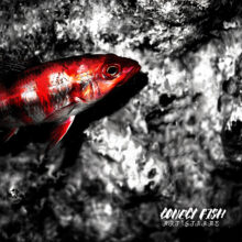 Lonely fish Cover art for sale