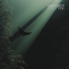 Dark Forest Cover art for sale