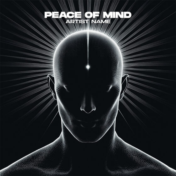 Peace of Mind Cover art for sale