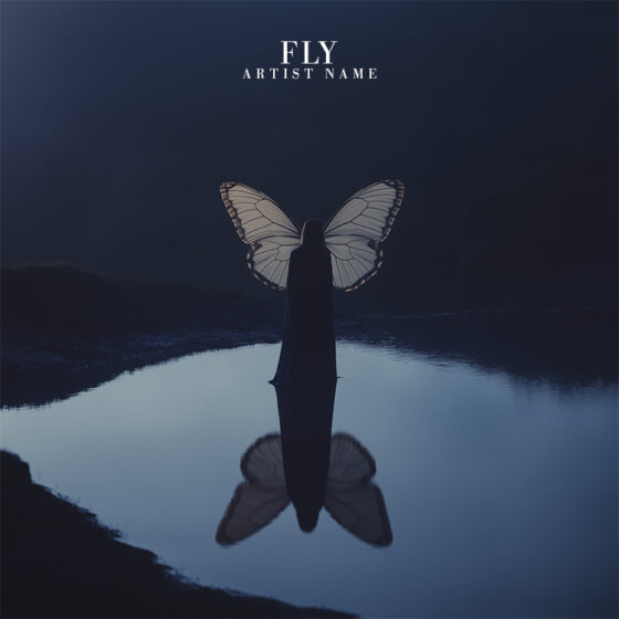 fly Cover art for sale