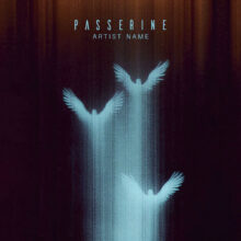 passerine Cover art for sale