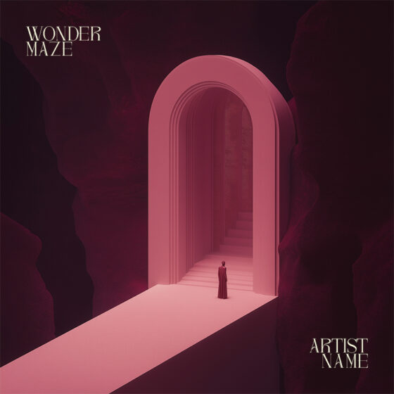 Wonder maze Cover art for sale