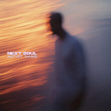 Next soul Cover art for sale