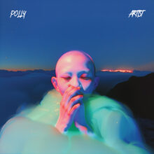 Polly Cover art for sale