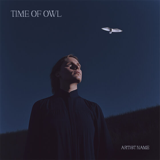 Time of owl Cover art for sale