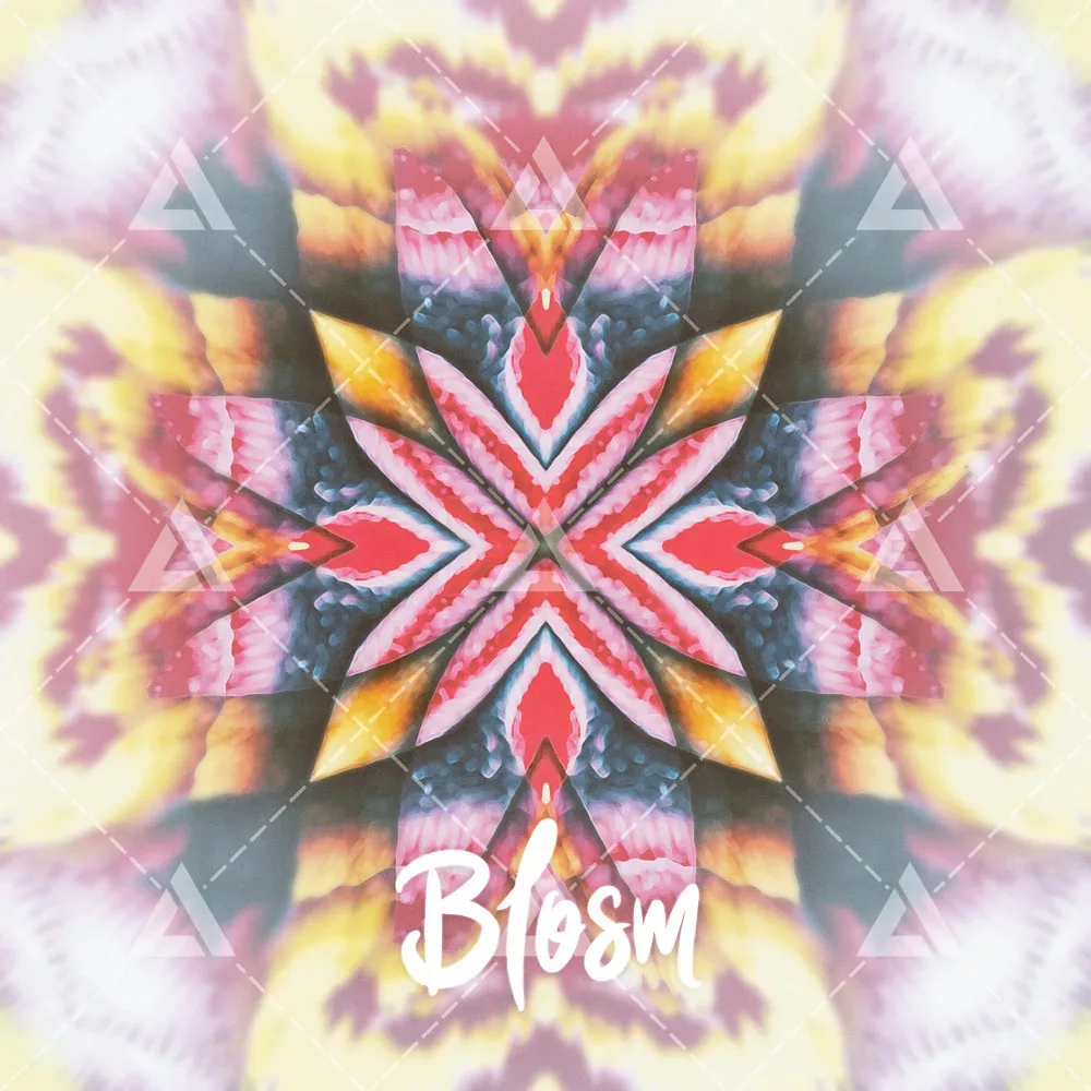 Blosm cover art for sale