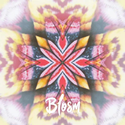 Blosm cover art for sale
