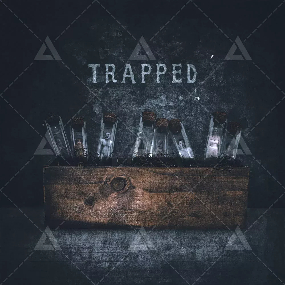 Trapped cover art for sale