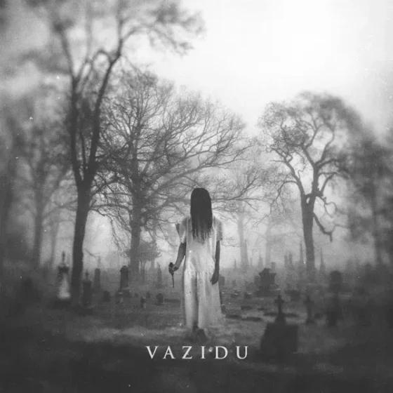 Wazidu Cover art for sale