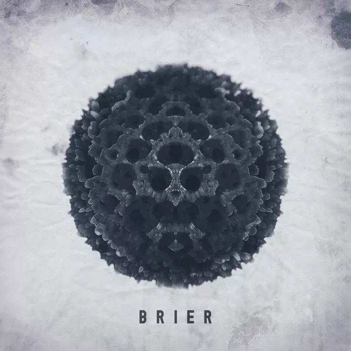 Brier cover art for sale