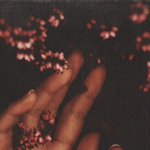 Hands and Flowers Album cover design for sale