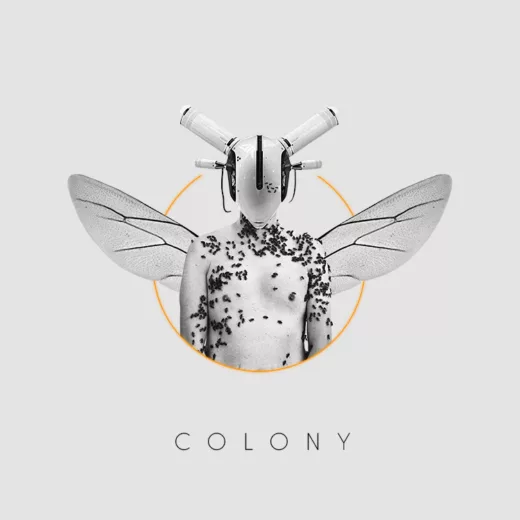 Colony cover art for sale