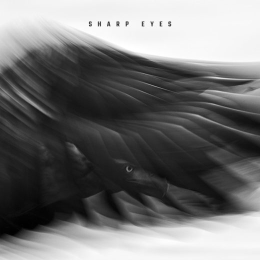 Sharp eyes cover art for sale