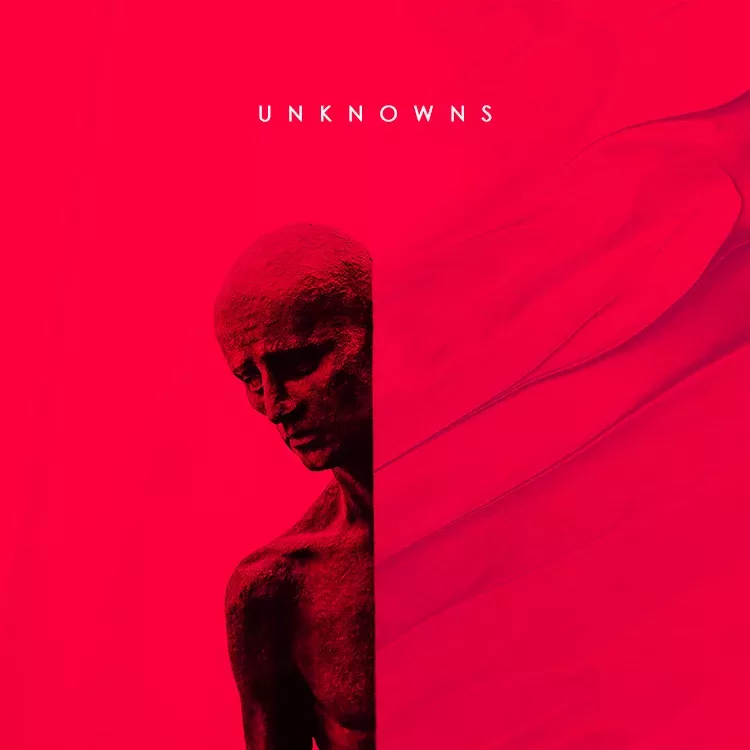 Unknowns cover art for sale