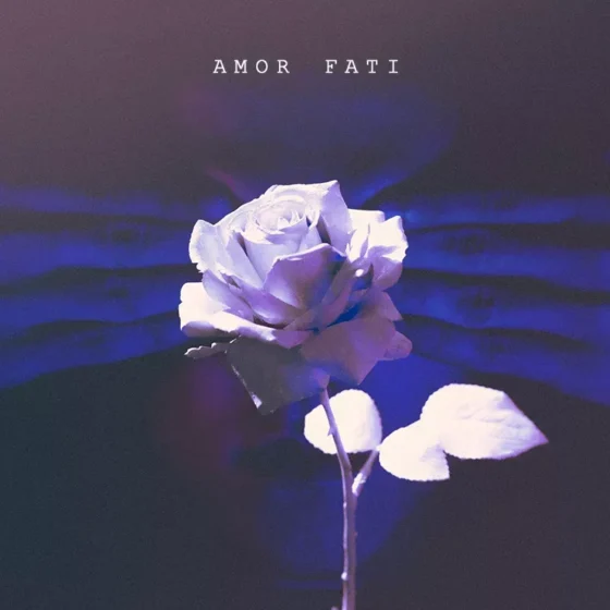 Amor fati Cover art for sale