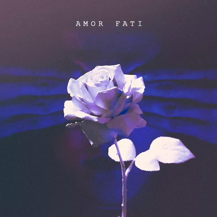 Amor Fati Album Cover Art Design – CoverArtworks
