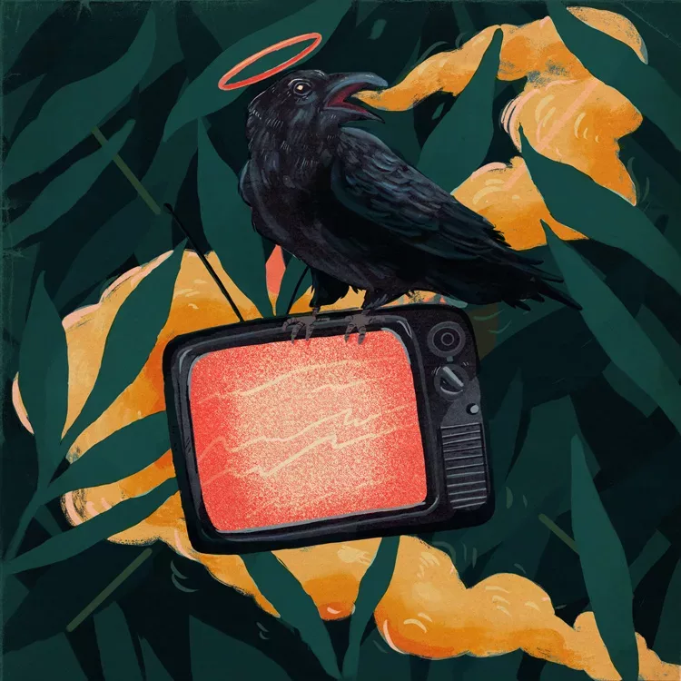 Crow tv cover art