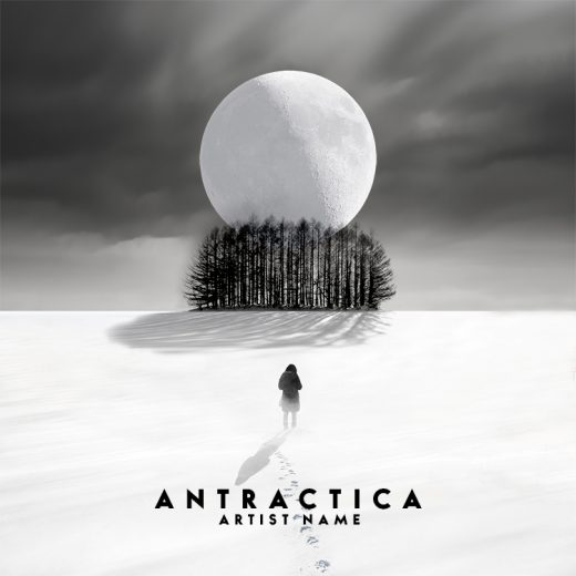 Antractica cover art for sale