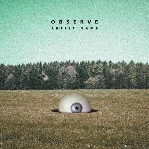 Observe cover art for sale