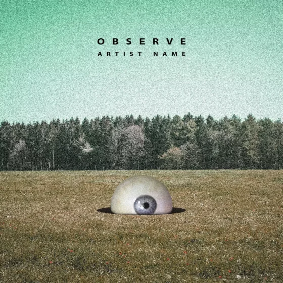 Observe Cover art for sale