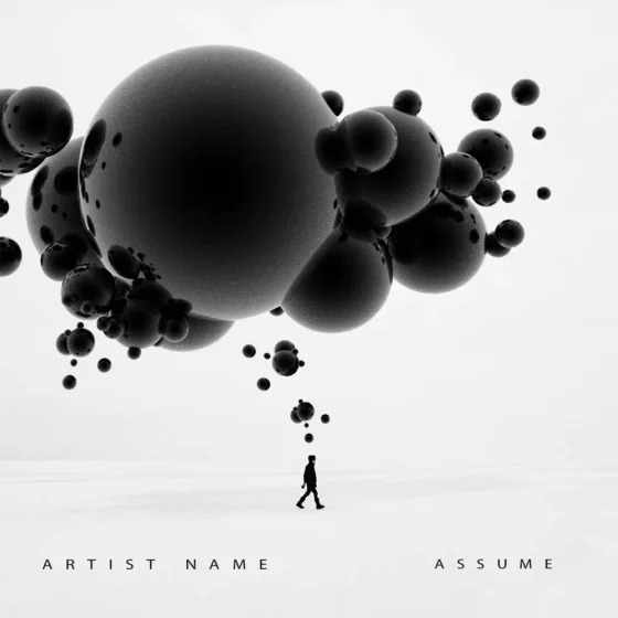 Assume Cover art for sale