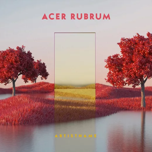 Acer rubrum cover art for sale