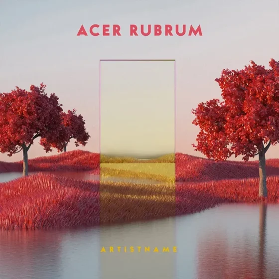 Acer rubrum Cover art for sale