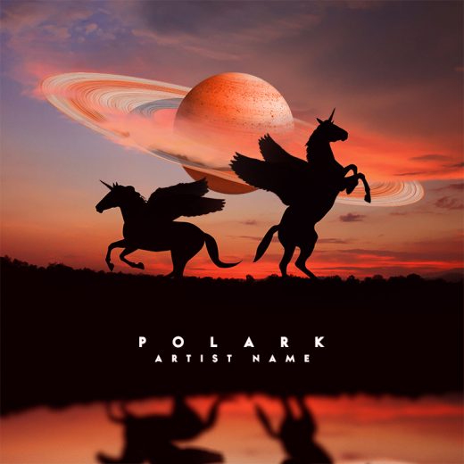 Polark cover art for sale