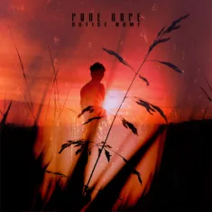 Pure hope Cover art for sale