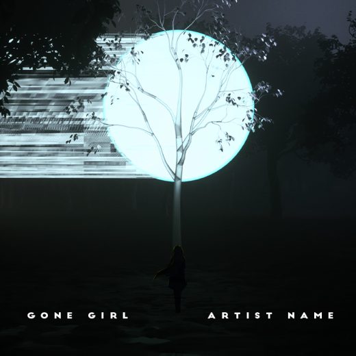 Gone girl cover art for sale
