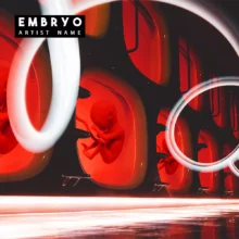 Embryo Cover art for sale