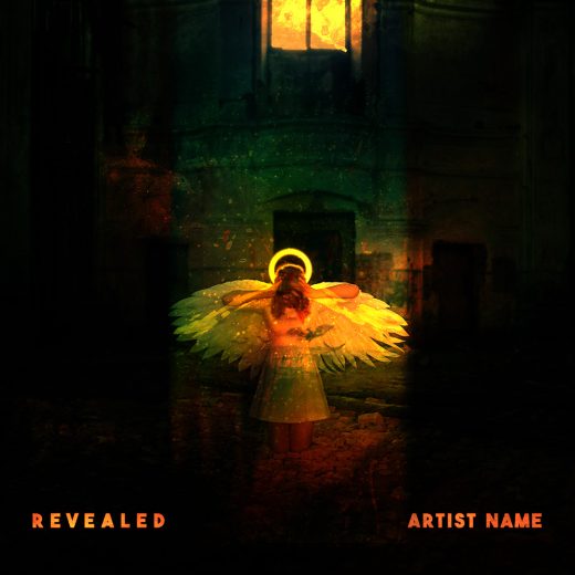 Revealed cover art for sale