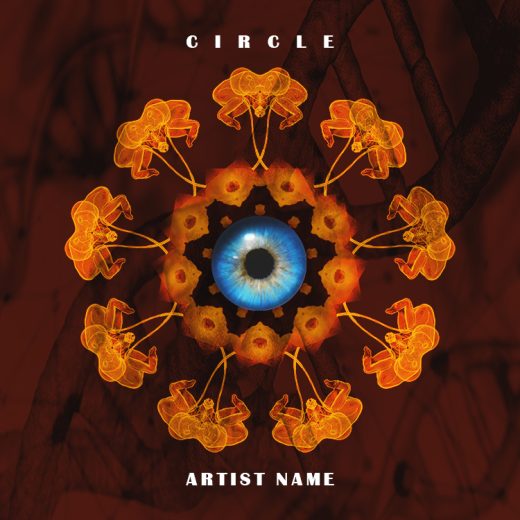 Circle cover art for sale
