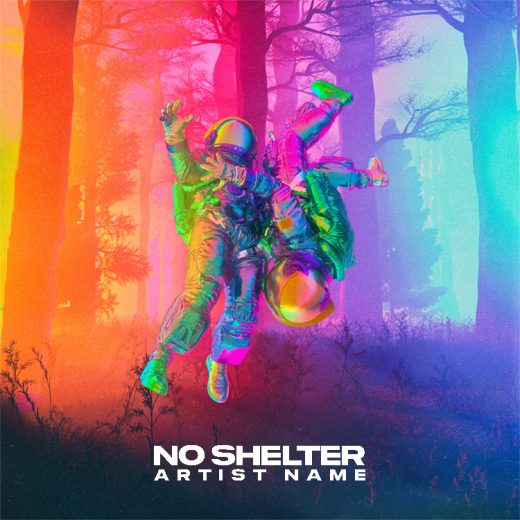 No shelter Cover art for sale