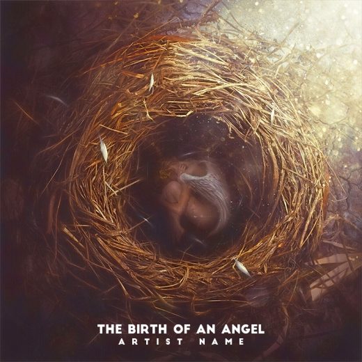 The birth of an angel Cover art for sale