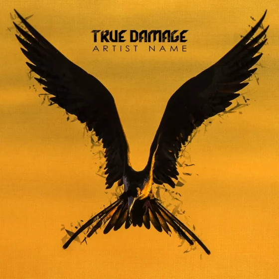 true damage Cover art for sale