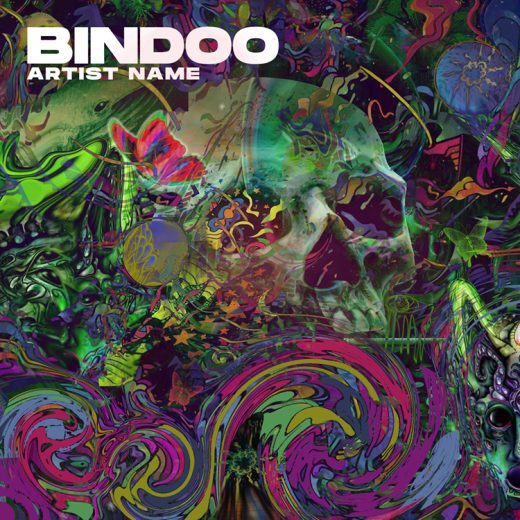 Bindoo Cover art for sale