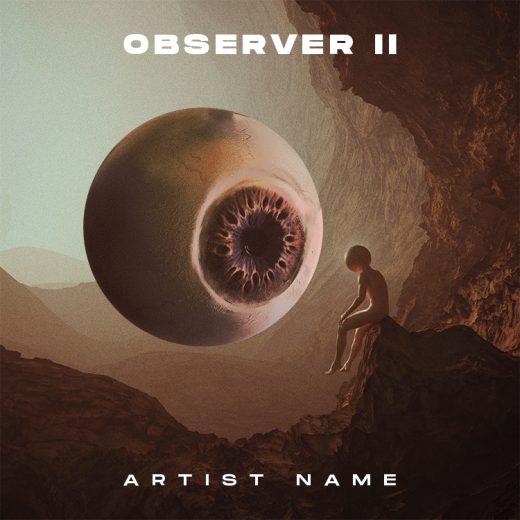 Observer ii cover art for sale
