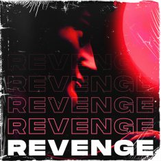 Revenge Cover art for sale