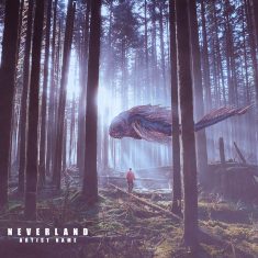 neverland Cover art for sale