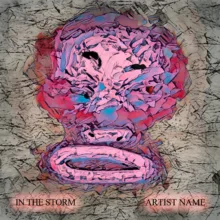 In the storm Cover art for sale