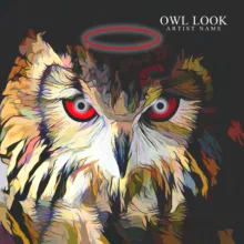 Owl look Cover art for sale