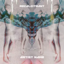 recalcitrant Cover art recalcitrant
