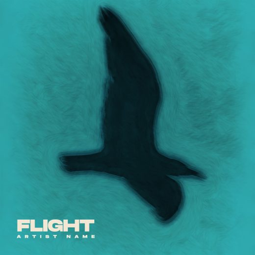 Flight cover art for sale